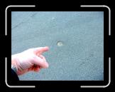 212-1206_IMG * 800 x 600 * (221KB)